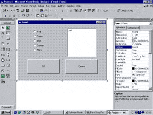 The Visual Basic environment